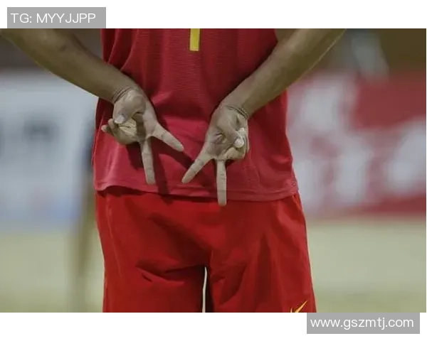 专访杨磊：深入探讨排球背后的成功秘诀与团队精神