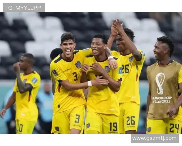 南京羽毛球队在世界杯中的战术表现分析与点评